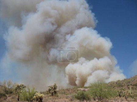 Photo for Lots of Smoke from a small wildfire near Apache Junction, Arizona . High quality photo - Royalty Free Image