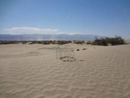 Téléchargez les photos : Mesquite Flats Sand Dunes at Death Valley National Park . High quality photo - en image libre de droit