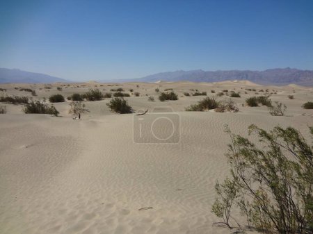 Téléchargez les photos : View of Mesquite Flats Sand Dunes in Death Valley. High quality photo - en image libre de droit
