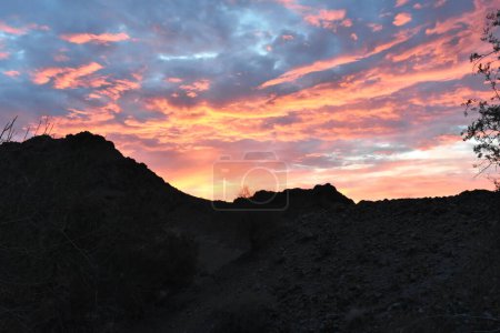 Foto de Sunrise in the Sonoran Desert Near Yuma, Arizona. High quality photo - Imagen libre de derechos