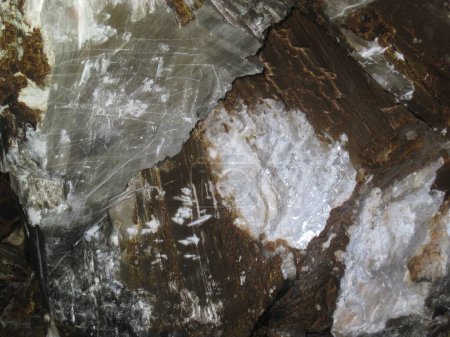 Photo for Crumbly Gypsum Rock on Human Fingertips Close Up. High quality photo - Royalty Free Image