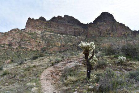 Foto de Senderismo a Picketpost Mountain, día soleado en el desierto de Arizona. Foto de alta calidad - Imagen libre de derechos