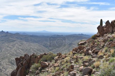 Photo for Rugged Landscape, Hiking Picketpost Mountain, Arizona . High quality photo - Royalty Free Image