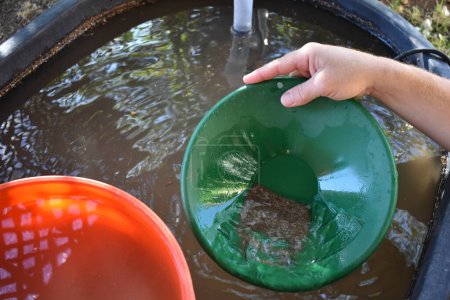 Photo for Hand Holding a Green Gold Pan with Black Sand by Water Bucket in Yard. High quality photo - Royalty Free Image