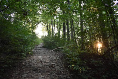 Téléchargez les photos : Promenade sur le sentier Tioga Falls Randonnée près de Radcliff Kentucky au coucher du soleil. Photo de haute qualité - en image libre de droit
