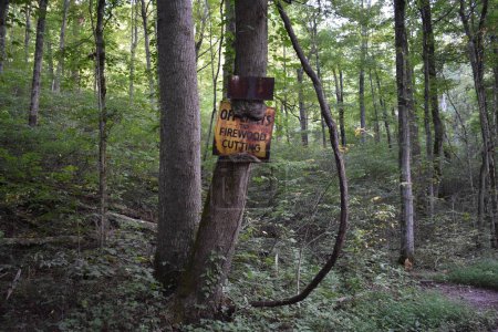 Téléchargez les photos : Tree Reclaims Old Metal Sign on Tioga Falls Trail, Radcliff Kentucky. Photo de haute qualité - en image libre de droit