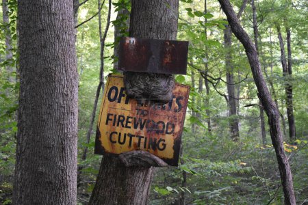 Foto de Tree Reclaims Old Metal Sign on Tioga Falls Trail, Radcliff Kentucky. Foto de alta calidad - Imagen libre de derechos