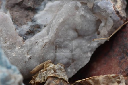 Photo for Closeup of Quartz Geode Crystals Rock Texture. High quality photo - Royalty Free Image