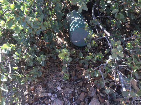 Téléchargez les photos : Trouver une géocache au terrain de camping Oak Flat près de Globe, Arizona. Photo de haute qualité - en image libre de droit