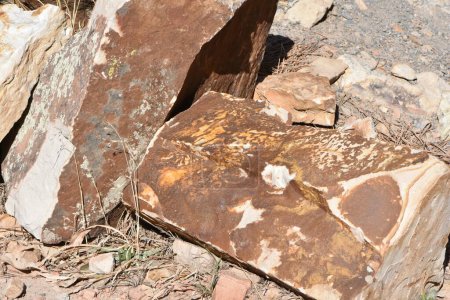 Weathered Rock Pieces near Boulder Colorado, Geology Photo. High quality photo