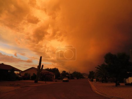 Amazing Summer Haboob Dust Storm in Arizona . High quality photo