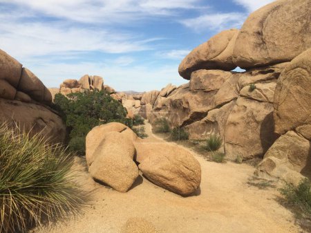 Paysage des rochers dans le parc national Joshua Tree, Californie. Photo de haute qualité