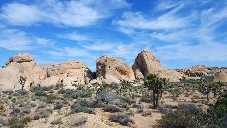 Boulders Landscape in Joshua Tree National Park, California . High quality photo