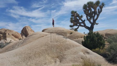 Fit Woman Standing on Boulder, Randonnée pédestre dans le parc national Joshua Tree, Californie. Photo de haute qualité