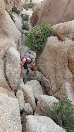 Fit Woman Hiking in Joshua Tree National Park, California . High quality photo