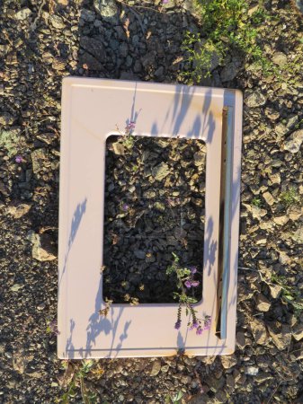 Photo for Retro Pink Oven Door by Purple Wildflowers Abandoned in Arizona Desert. High quality photo - Royalty Free Image