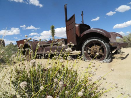Classique Desert Southwest Photo d'une vieille voiture rouillée abandonnée par un arbuste en fleurs. Photo de haute qualité