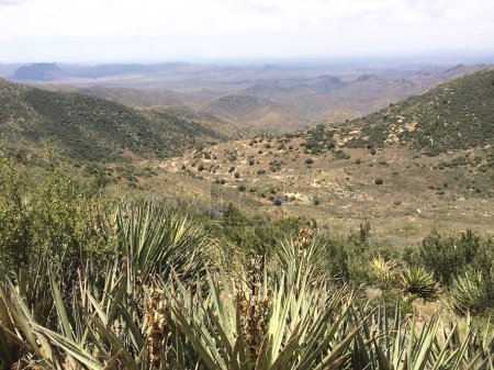 Vue sur Arizona Wilderness depuis une Dirt Road près de Superior. Photo de haute qualité