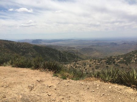 Vue d'un paysage sauvage depuis une route de terre en Arizona. Photo de haute qualité