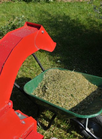 Häckselmaschine in der Nähe einer Schubkarre, die mit Mulch gefüllt ist, im Rasen.