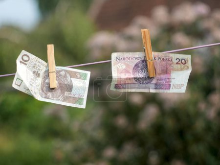 Photo for Zloty (polish currency) banknotes hanging from a clothesline, with clothespins, on blurry background. For tainted money concept or money laundering. - Royalty Free Image