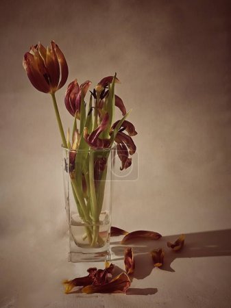 Getrocknete Tulpen in einer Glasvase.