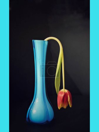 Traurige Tulpen in einer blauen Vase.