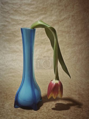 Traurige Tulpen in einer blauen Vase.
