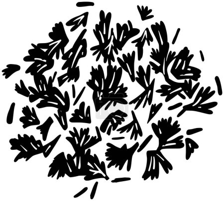 Black coriander silhouette or flat seed illustration of leaf logo coriandrum for leaves with food icon and ingredient shape plant as herb to condiment