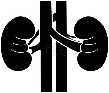 kidney illustration medical icon of awareness logo disease vector treatment organ or stone anatomy transplant health medicine human care urology healthy renal internal cancer urinary health care care care graphic