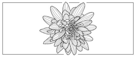 Ilustración de Ilustración en blanco y negro del crisantemo para colorear libros, fondos, portadas, presentaciones, postales - Imagen libre de derechos