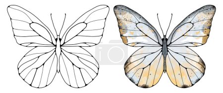 Téléchargez les illustrations : Contour noir d'un papillon et un papillon gris-beige coloré sur un fond blanc. Objet pour décor, fonds d'écran, pages à colorier, arrière-plans, messages sur les médias sociaux - en licence libre de droit