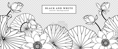 Illustration for Black and white hand drawn floral illustration with lotus flowers. Outline of lotus flowers on a transparent background. - Royalty Free Image