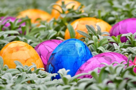 Colorful painted easter eggs hidden in the garden. Close-up, shallow depth of field.