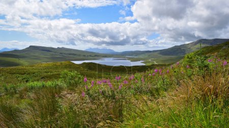 Beautiful wild flowers field. Loch Leathan lake in highland mountains landscape. View from the trail leading to the Old Man Of Storr, Isle of Skye, Scotland.