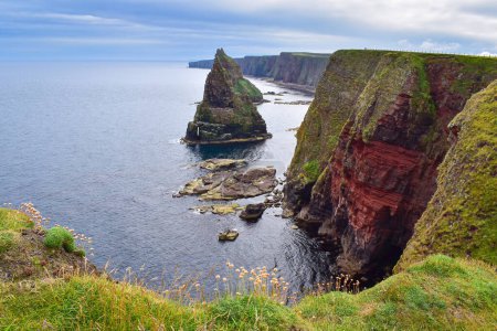 Photo for Duncansby Head Stacks. large jagged sea stacks; natural wonder and famous tourist attraction in Scotland. near John O Groats. Explore United Kingdom; travel Europe - Royalty Free Image