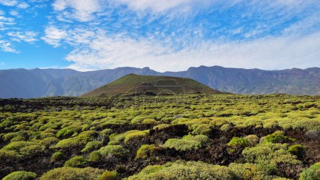Paisaje de cono volcánico y vegetación verde en Badlands o Malpais de Guimar reserva natural especial, Tenerife, Islas Canarias, España, Europa del Sur