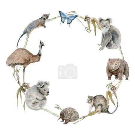 Australian koala and wombat native animals round wreath frame. Watercolor isolated illustration with hand drawn emu ostrich, possum and echidna for national endemic Australia wildlife design and cards