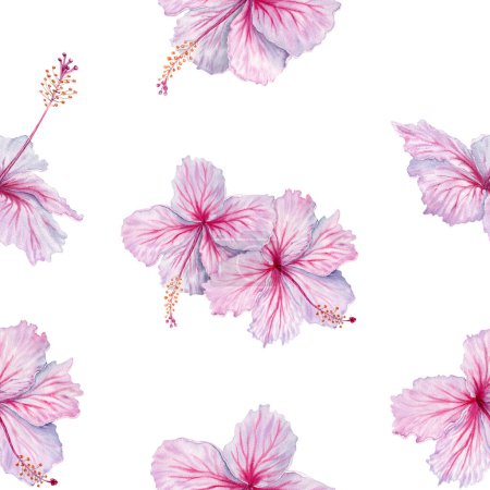 Watercolor pink hibiscus flowers seamless pattern. Elegant floral composition on white background. For tea and syrup. Cosmetics, beauty, fashion prints, wallpaper, fabrics, cards, packaging designs