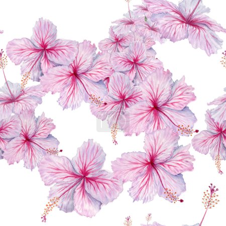 Watercolor pink hibiscus flowers seamless pattern. Elegant floral composition on white background. For tea and syrup. Cosmetics, beauty, fashion prints, wallpaper, fabrics, cards, packaging designs