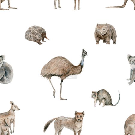 Téléchargez les photos : Emu et kangourou motif sans couture avec dingo et opossum. Illustration aquarelle Koala et wombat. Origine des animaux indigènes australiens. Faune dessinée à la main pour la conception de surface, papier peint, textile. - en image libre de droit