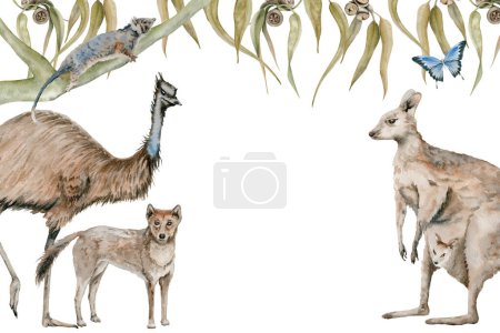 Emu and kangaroo greeting card with dingo and possum decorated with gum tree eucalyptus leaves. Australian native animals watercolor illustration. Hand drawn endemic wildlife invitation frame design