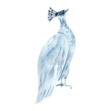 White peafowl watercolor illustration. Hand drawn bird painting isolated on white background. Indigo Blue Monochrome elegant beauty symbol for fashion clothes, tattoos, printing and pattern designs.