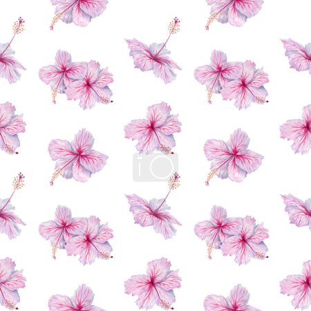 Rosa Hibiscus Flores patrón sin costura. Ilustración en acuarela aislada sobre fondo blanco. Patrón de superficie floral para fondos de pantalla y ropa de cama. Diseños de tela tropical, decoración de portada de libro