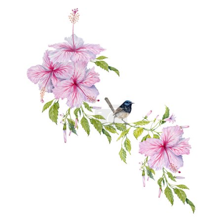 Hibiscus rosa Flores con hojas verdes y composición de pájaros pequeños. Ilustración en acuarela aislada sobre fondo blanco. Diseño de tarjetas florales con lindo hada wren en rama botánica vintage realista