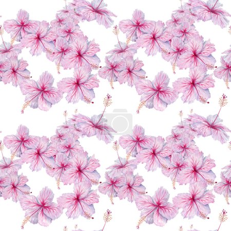 Rosa Hibiscus Flores patrón sin costura. Ilustración en acuarela aislada sobre fondo blanco. Patrón de superficie floral para fondos de pantalla y ropa de cama. Diseños de tarjetas tropicales, telas y vestidos de verano