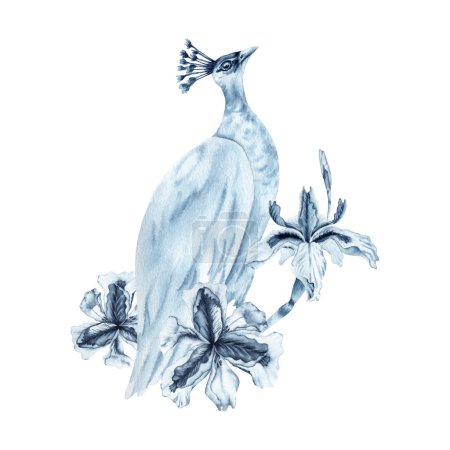 Peafowl bird and blue iris flowers (en inglés). Ilustración acuarela dibujada a mano aislada sobre fondo blanco. Composición índigo monocromo con un peahén. Pintura elegante para telas de vestir, tarjetas de boda