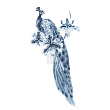 Pfauenvogel und blaue Irisblüten. Handgezeichnete Aquarell-Illustration isoliert auf weißem Hintergrund. Indigo monochrome Designkomposition mit einem Vogelvogel. Königlich Indisches Symbol für Reichtum und Glück