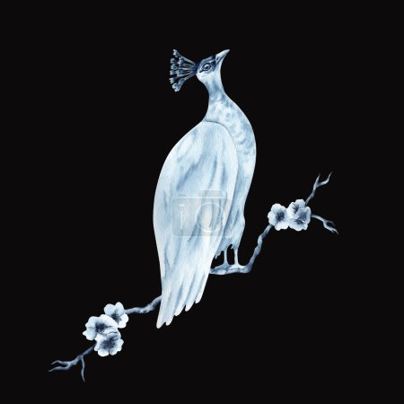 Pfauenvogel auf einem Kirschbaumzweig. Blaue indigofarbene Komposition. Handgezeichnete Aquarell-Illustration isoliert auf dunklem Hintergrund. Animal Clip Art für Drucke, Kleidungsmuster, Stoffe, Karten