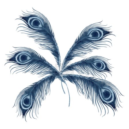 Pfauenfedern, die wie der Schwanz eines Vogels angeordnet sind. Blaue indigofarbene Komposition. Handgezeichnete Aquarell-Illustration isoliert auf weißem Hintergrund. Stylische Logodesigns mit Tiermotiven für Karten
